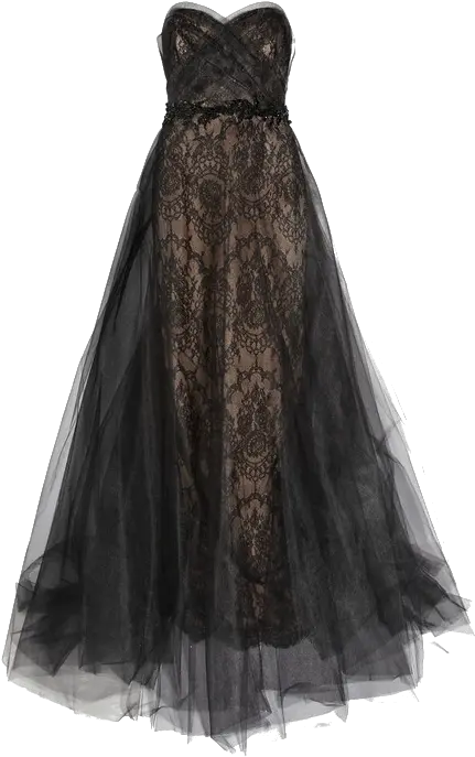  Dress Png Pic Vera Wang Black Tulle Dress Dress Png