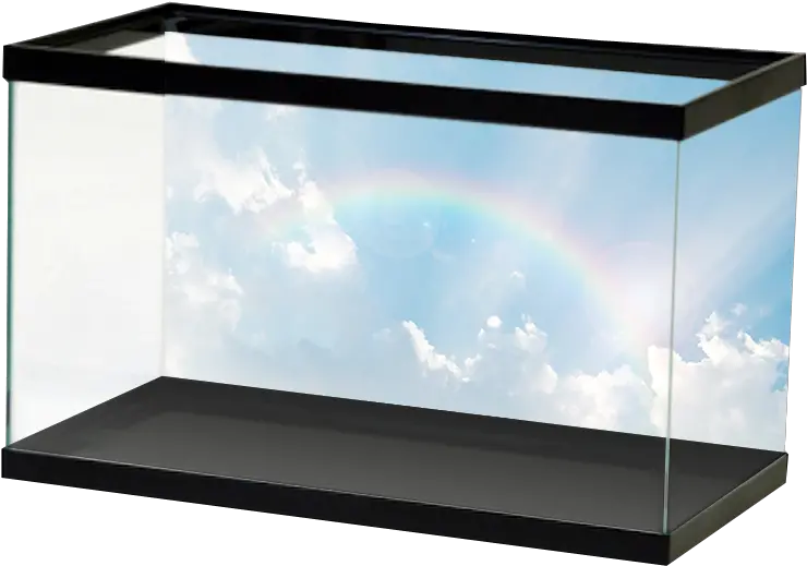  Rainbow Sky Background Aquarium Vinyl Aquarium Stone Wall Background Png Sky Background Png