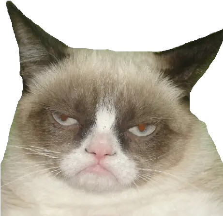  Adubry75 Andrew Dubry Github Soft Png Grumpy Cat Icon