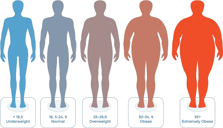  Bmi Chart Body Mass Index To Weight Loss Does 25 Bmi Look Like Png Body Mass Index Icon