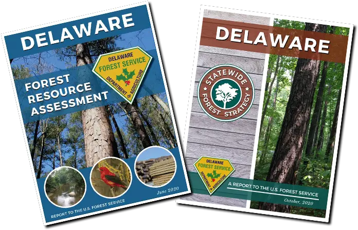  Forest Service Delaware Department Of Agriculture State Book Png Forest Realistic Icon