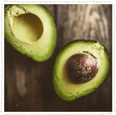  Avocado Hass Avocado Png Avocado Png