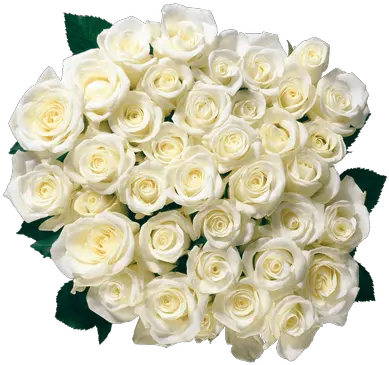  Bouquet Of White Roses Transparent Png White Rose Bouquet Png Rosas Png