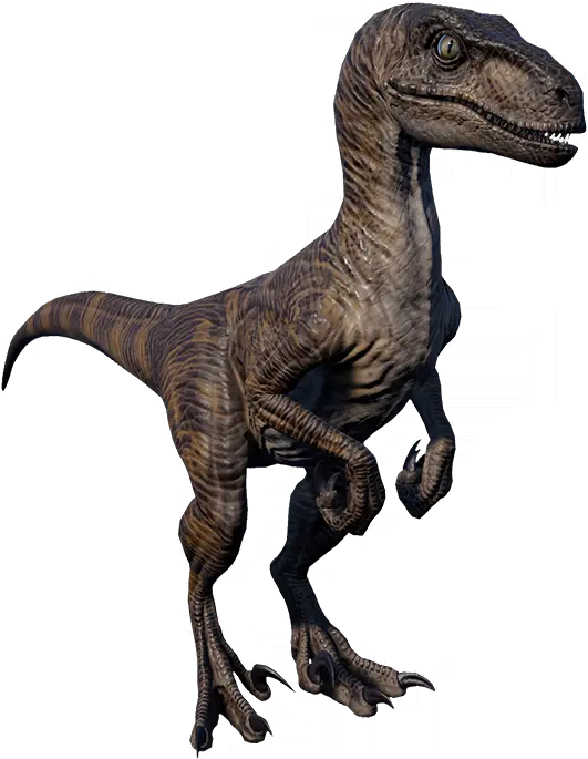  Velociraptor Jurassic World Evolution Wiki Velociraptor Png Raptor Png