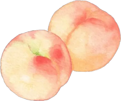  Peach Drawing Png Peach Drawing Png Peach Png