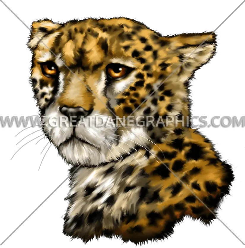  Cheetah Production Ready Artwork For T Shirt Printing Clip Art Png Cheetah Transparent