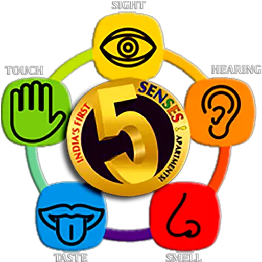  Learn The 5 Senses Toyor Baby English 5 Senses Vector Png 5 Senses Icon