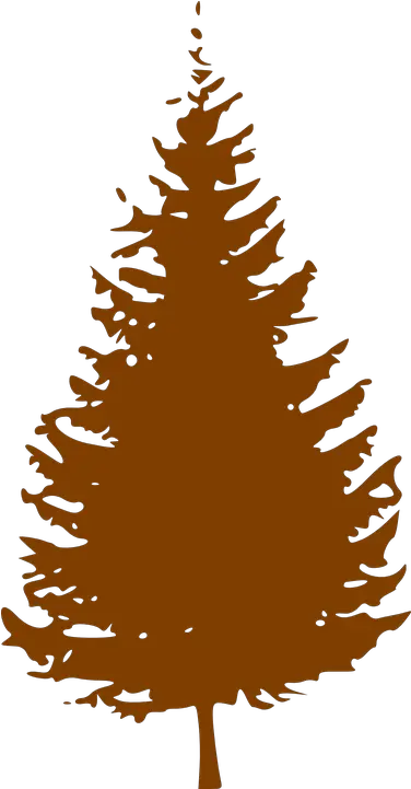  Pine Tree Silhouette Transparent Png Silhouette Christmas Tree Clipart Pine Trees Silhouette Png