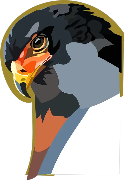  Raptor Animal Bird Digital Golden Eagle Png Raptor Icon