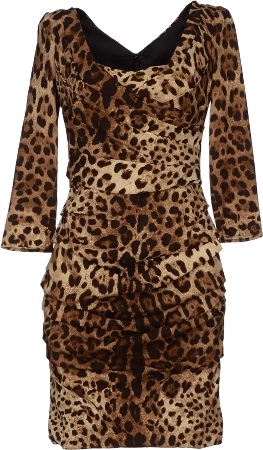  Paula Patton Dolce Gabbana Skin Tight Animal Print Png Leopard Print Png