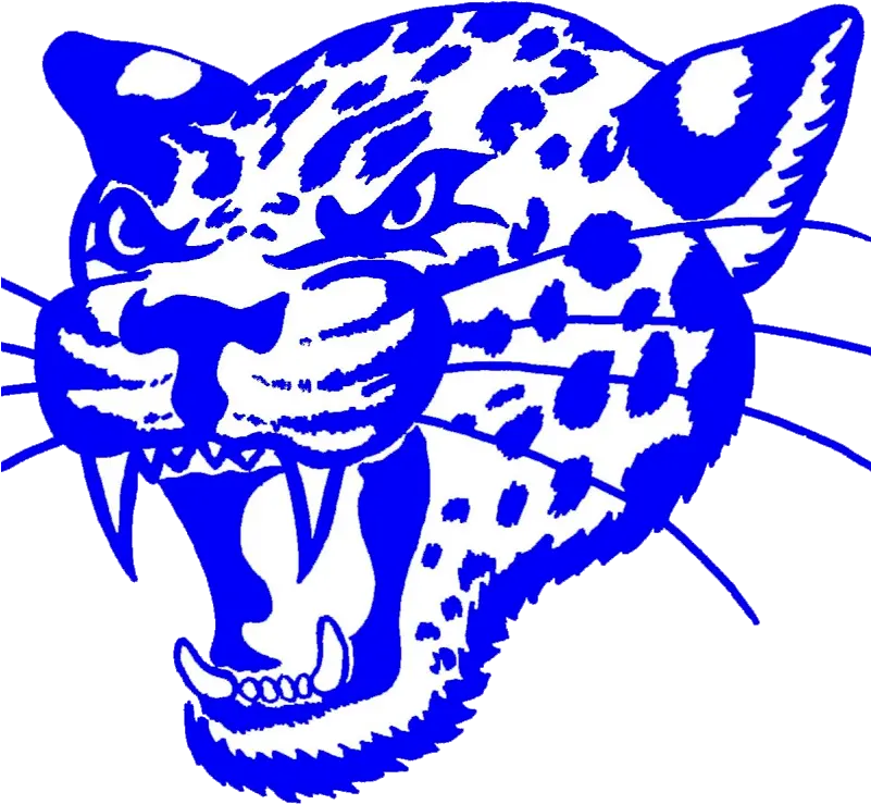  Bbe Jaguars Clipart Full Size Clipart 2001919 Pinclipart Belgrade Brooten Elrosa High School Png Jaguars Logo Png