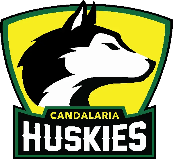  About Us Candalaria Elementary School Washington Huskies Logo Png Husky Icon Transparent