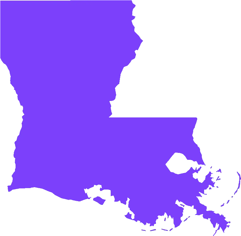  The South Got Something To Say A Celebration Of Southern Louisiana Election Map 2020 Png Avenge The Fallen Png