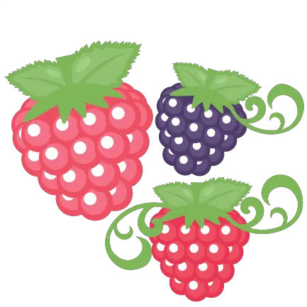  Raspberry Set Svg Scrapbook Cut File Cute Clipart Files For Cute Raspberry Clipart Png Berry Png