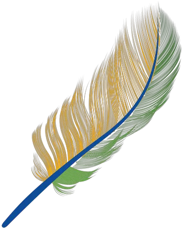  The Best Free Peacock Feather Icon Images Download From 404 Desenho Png Pena Peacock Feathers Png