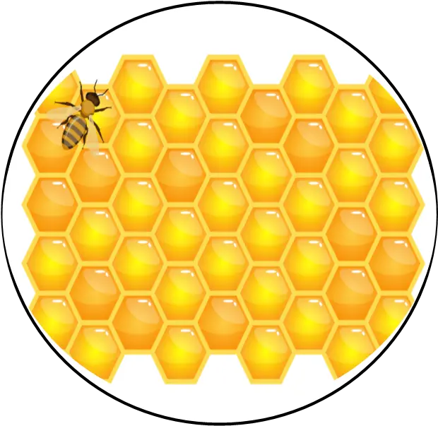  Backyard Bees Nyc U2013 Skin Sweetnessu2026inspired By Nature Horizontal Png Bee Icon Vector