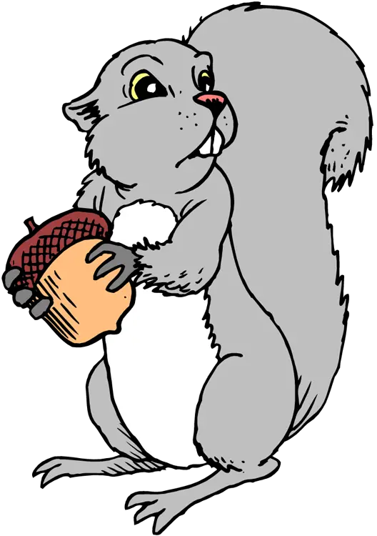  Free Png Images Dlpngcom Gray Squirrel Clipart Squirrel Clipart Png