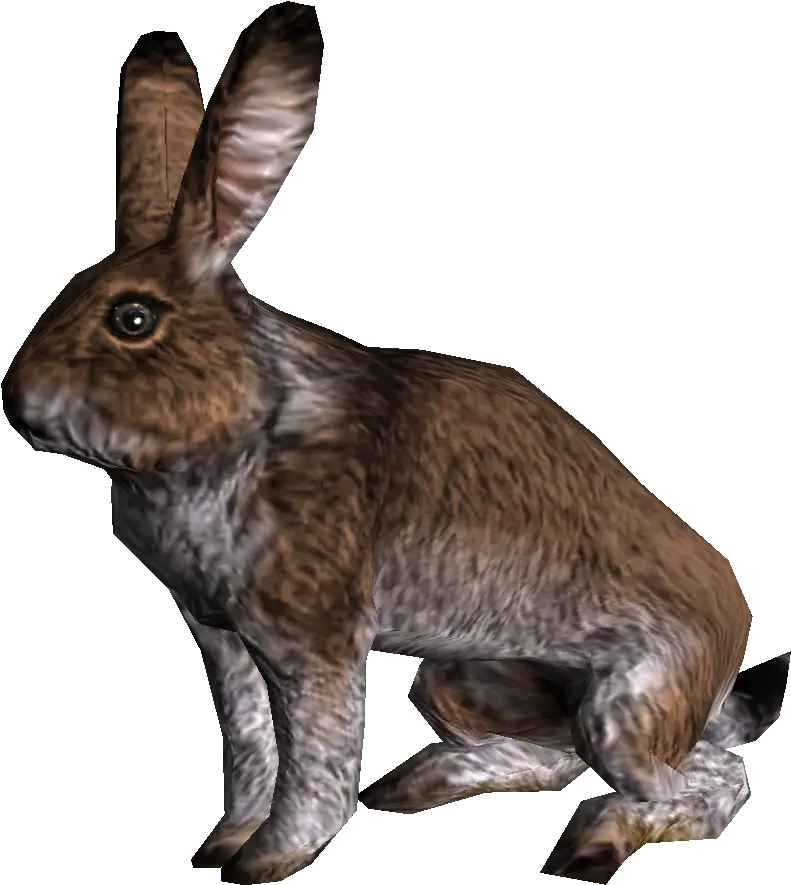  Rabbit Skyrim Wiki Skyrim Rabbit Png Rabbit Png