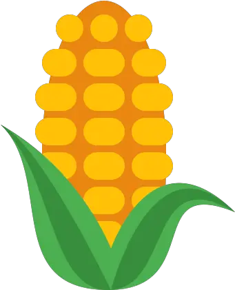  Corn Icon Free Download Png And Vector Maize Icon Png Corn Png