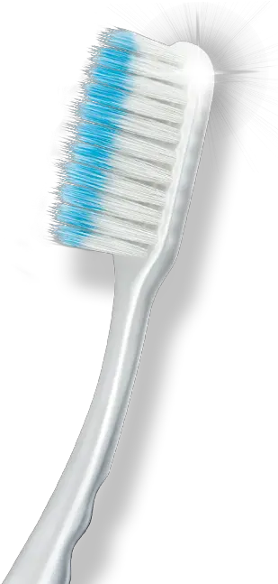  Toothbrush Household Supply Png Tooth Brush Png