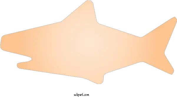  Animals Orange Star Peach For Shark Shark Clipart Animals Fish Png Shark Transparent