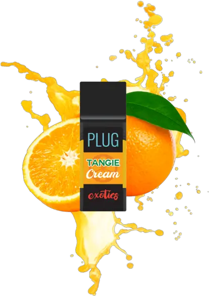  Plugplay Plug Exotics Tangie Cream Plug And Play Tangie Cream Png Plug And Play Logo