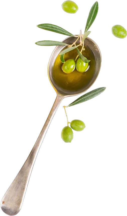  Homepage Lupi Olive Oil Spoon Olive Oil Png Oil Png