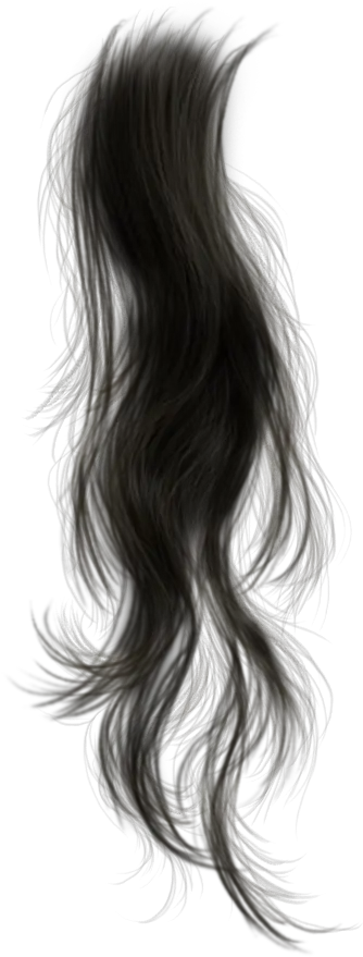  Photoshop Actions Wigs Hairdos Black Hair Strands Png Hair Strand Png