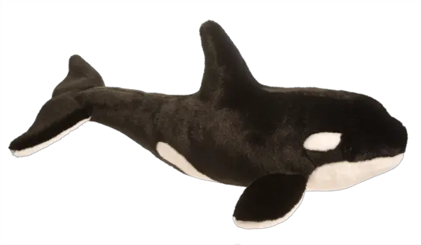  Douglas Balena Orca Whale Stuffed Animal Killer Whale Stuffed Animal Png Killer Whale Png