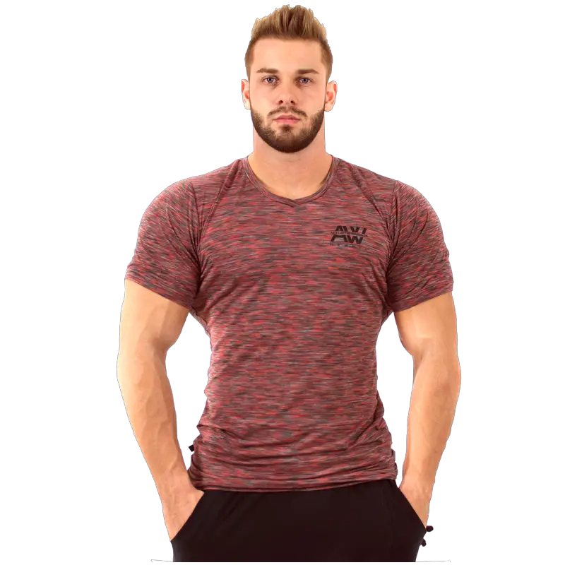  T Shirt Model N126 Bordo Nebbia Nebbia Fitness Png Male Model Png