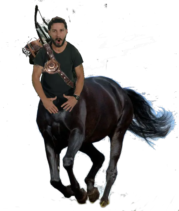  Shia Labeouf As A Centaur Black Beauty Horse Png Shia Labeouf Png