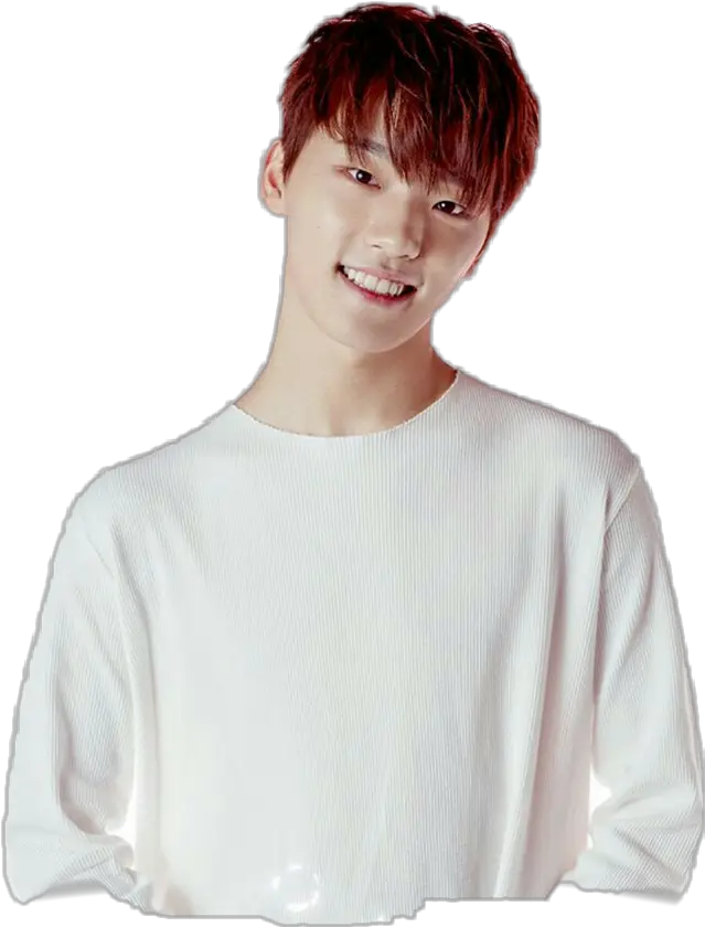  Seventeendino Seventeen Svt Dino Crew Neck Png Seventeen Transparent