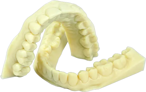  Daylight Precisionhightensileteeth Beets Limited Plastic Png Teeth Png