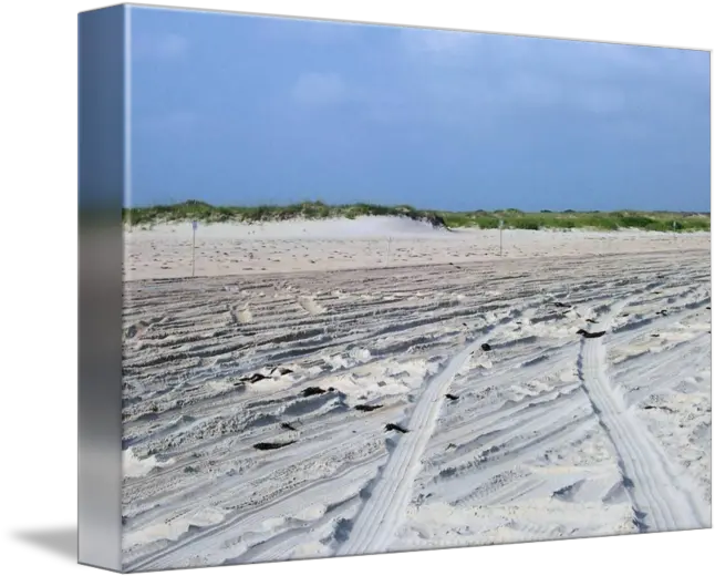  Beach Tire Tracks By Sdr Images Road Png Tire Tracks Png