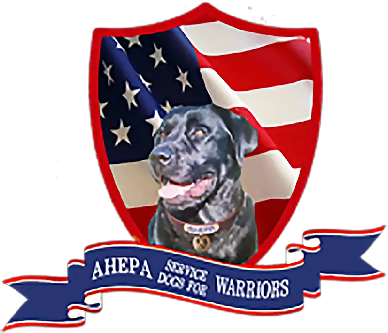  Welcome To Ahepa Service Dogs For Warriors Ahepa Service Dogs For Warriors Png Gabe The Dog Png