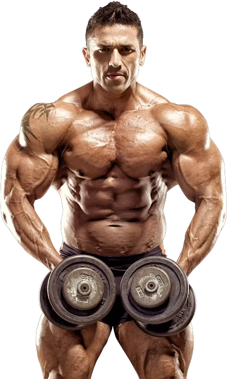  Bodybuilder Muscle Png Picture Black Body Builder Png Body Builder Png