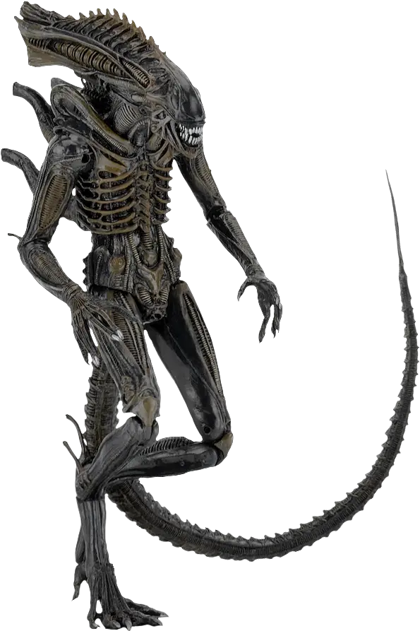  Neca Alien Defiance Xenomorph Png Image Alien Defiance Neca Xenomorph Png