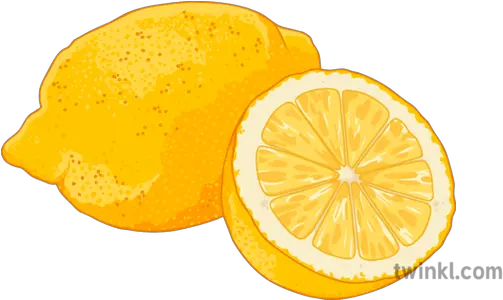  Lemon Illustration Twinkl Bitter Orange Png Lemon Png