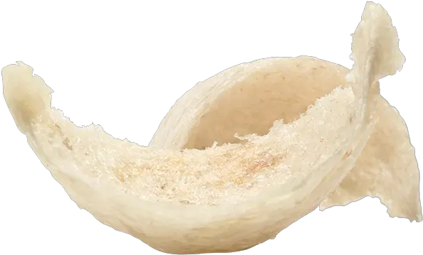  Zheng Feng Equity Fortune Cookie Png Bird Nest Png