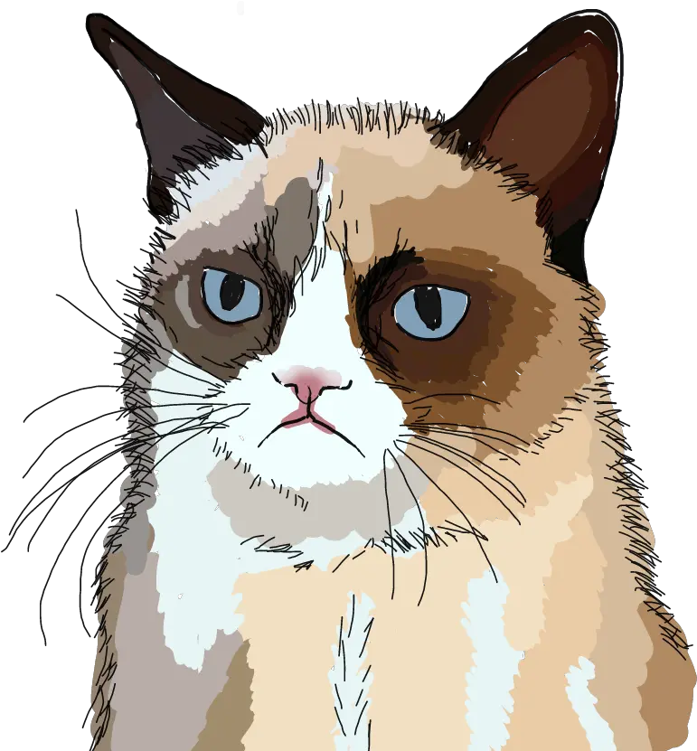  Freetoedit Grumpy Cat Sticker By Creepy Esther Grumpy Cat Sticker Png Grumpy Cat Png
