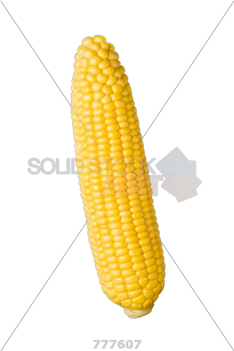  Stock Photo Of Peeled Yellow Corn Cob Corn On The Cob Gun Png Corn Cob Png