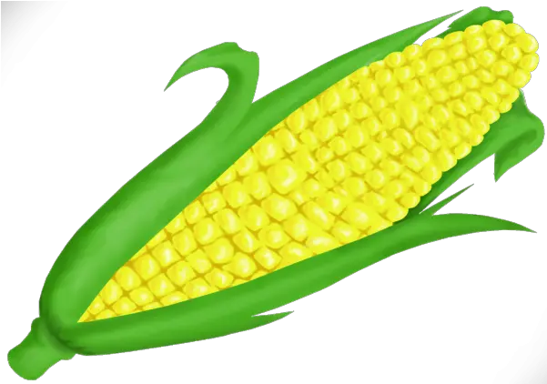  Corn Clipart Vectors Psd Corn Clipart Png Corn Clipart Png