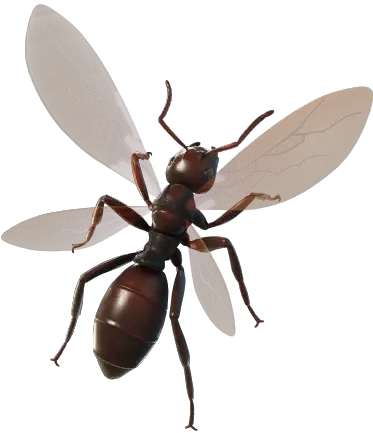  Fortnite Ant Tonio Back Bling Png Pictures Images Ant Icon