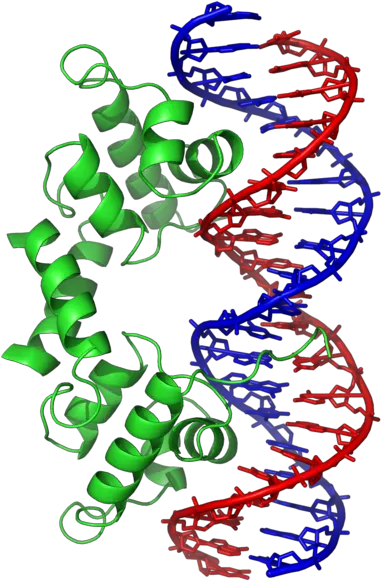  Micro Drones Combined With Dna Hacking Could Create A Very Nosso Dna Png Dna Colorful Icon