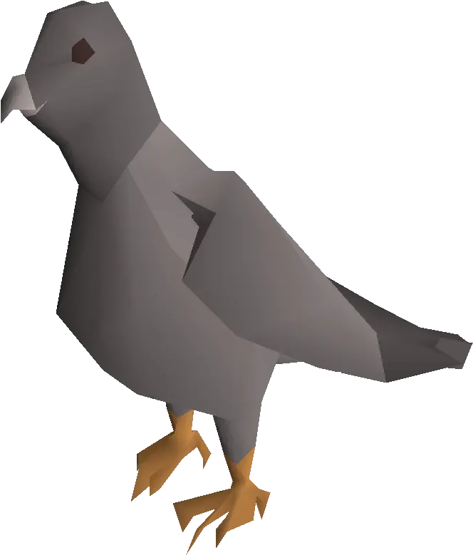  Pigeon Png Pic Portable Network Graphics Pigeon Png