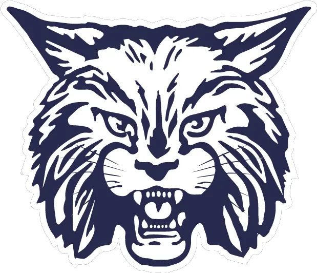  Bobcat Clipart Svg Bobcat School Png Bobcat Png