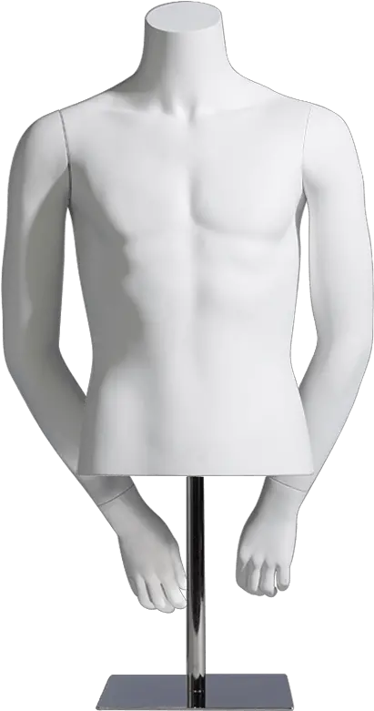  Male Torso Elements Old Bernstein Mannequin Hd Png Mannequin Png