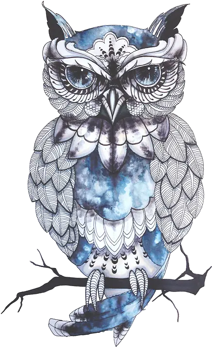  Transparent Picture Tumblr Blue Owl Tattoo Png Forest Transparent Background