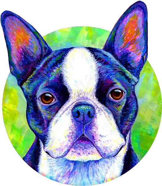  Effervescent Colorful Boston Terrier Dog Kids Tshirt Blue Boston Terrier Art Png Boston Terrier Png