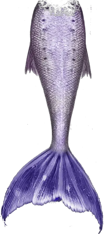  Mermaid Tails Png 2 Image Drawing Of Mermaid Tails Tails Png